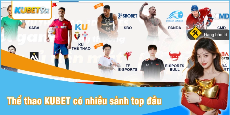 Thể thao Kubet sở hữu đa dạng sảnh uy tín